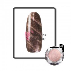 Pigment pentru unghii NADP003II Cameleon Amelie Cat Eye 